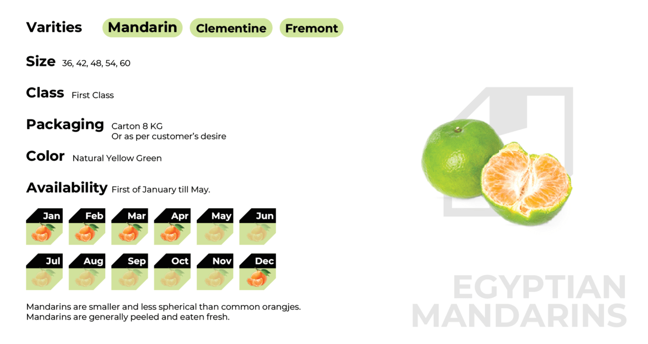 Branded_Egy Mandarines